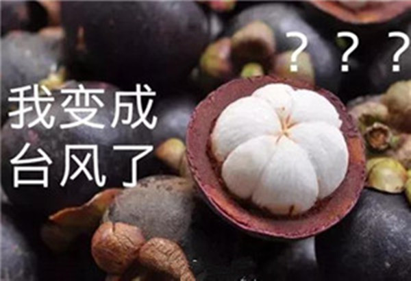 “山竹”還未走遠(yuǎn)，但貝朗全自動(dòng)彎線機(jī)已正常上班啦！