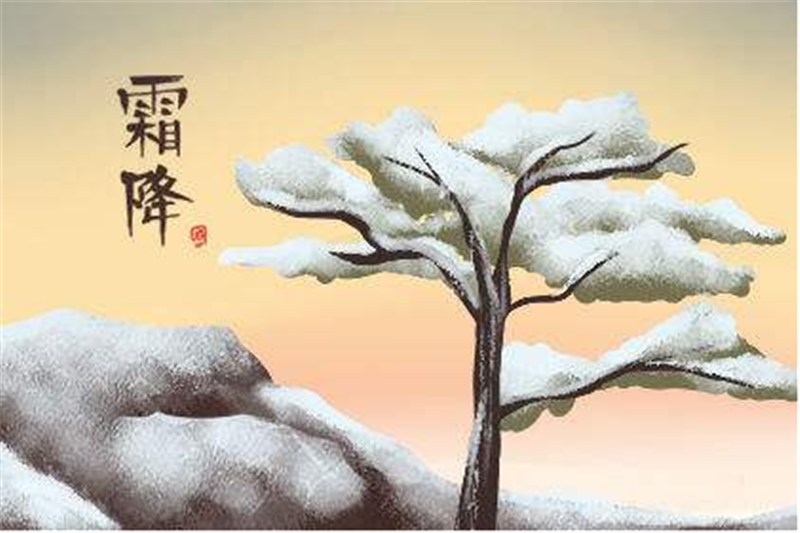 霜降——轉(zhuǎn)載網(wǎng)絡圖片