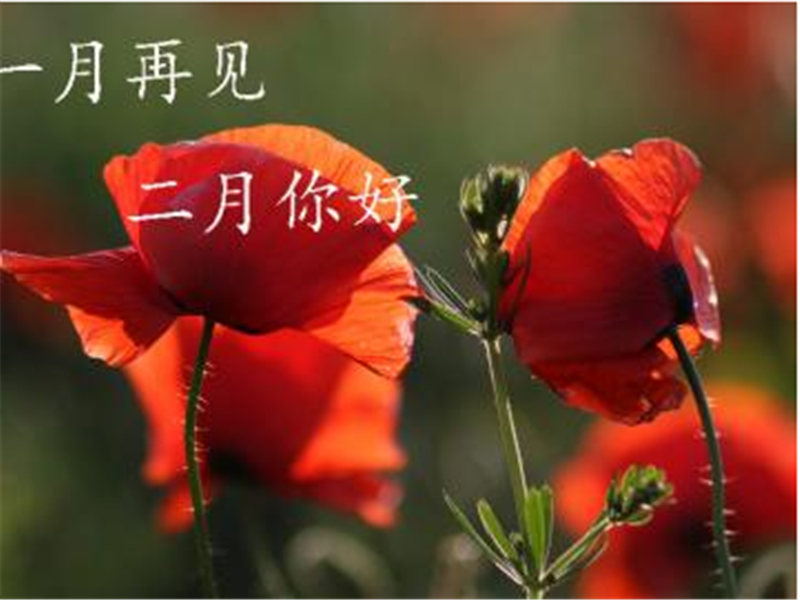 1月再見(jiàn)、2月你好——轉(zhuǎn)載網(wǎng)絡(luò)圖片